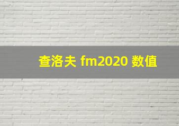 查洛夫 fm2020 数值